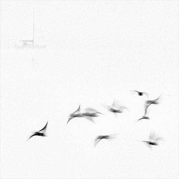 9 Birds and a Boat.jpg